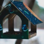 Bird Feeder - Selective Focus Photography of Blue Wooden Birdhouse